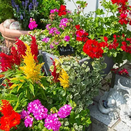 Garni Am Eckernweg 3* סלה